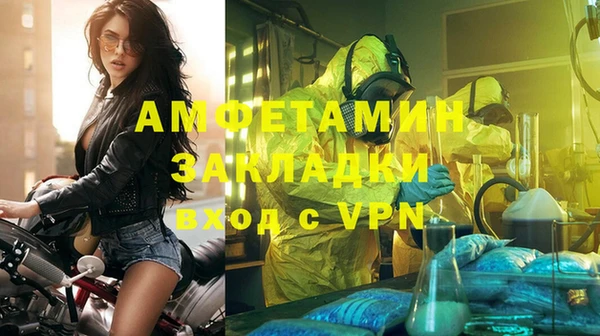 хмурый Алексин