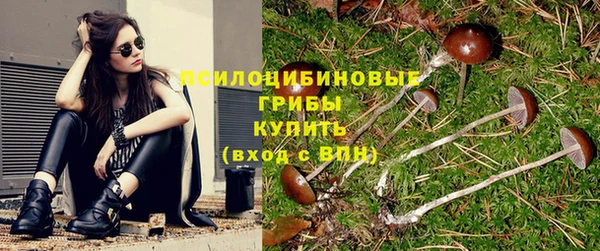 a pvp Абдулино