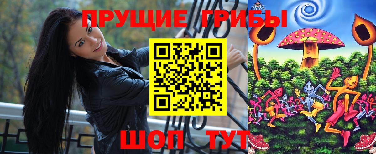 Заволжье  Галлюциногенные грибы Magic Shrooms  дарнет шоп  Вход с VPN 